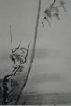 Japanisches Rollbild Kakejiku Musashi - Vogel Auf Einem Strauch Scroll 3504 Asiatika: Japan Bild 2