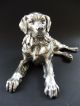: Jugendstil Hund Dog Art Nouveau Bernhardiner Retriever Versilbert Figur 7c Wmf 1890-1919, Jugendstil Bild 9