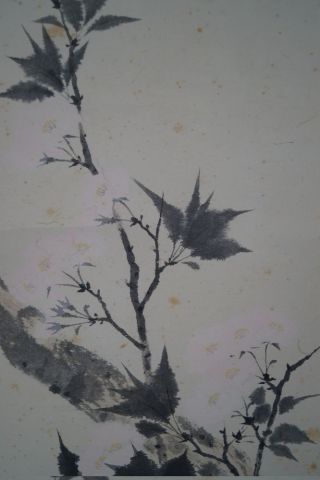 Antikes Japanisches Rollbild Kakejiku Blumen Japan Scroll 3444 Bild