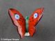 Alter Tropfenfänger Porzellan Schmetterling Rot Blaue Punkte Dripcatcher Thüring Nach Form & Funktion Bild 1