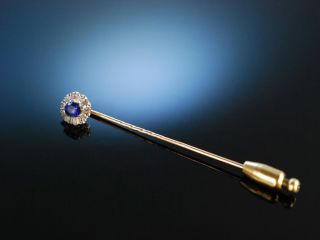 Edle Revers Krawatten Nadel Gold 585 14 Kt Saphir Diamanten Um 1900 Bild