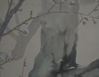 Antikes Japanisches Rollbild Kakejiku Vogel Am Baum Japan Scroll 3557 Bild