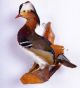 Schöner Mandarinerpel Mandarin Duck Taxidermy Mit Bescheinigung Jagd & Fischen Bild 1