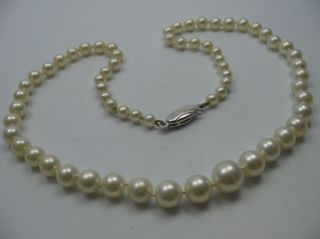 Klasse ältere Kurze Salzwasser Collier Perlenkette Mit Schließe Aus 925 Silber Bild