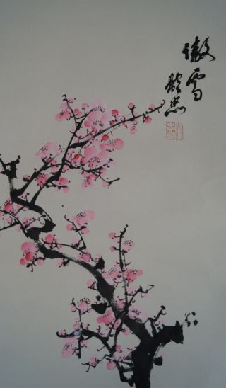 Antikes Japanisches Rollbild Kakejiku Sakura Kirschblüte Japan Scroll 3451 Bild