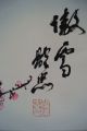 Antikes Japanisches Rollbild Kakejiku Sakura Kirschblüte Japan Scroll 3451 Asiatika: Japan Bild 2