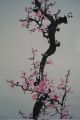 Antikes Japanisches Rollbild Kakejiku Sakura Kirschblüte Japan Scroll 3451 Asiatika: Japan Bild 3