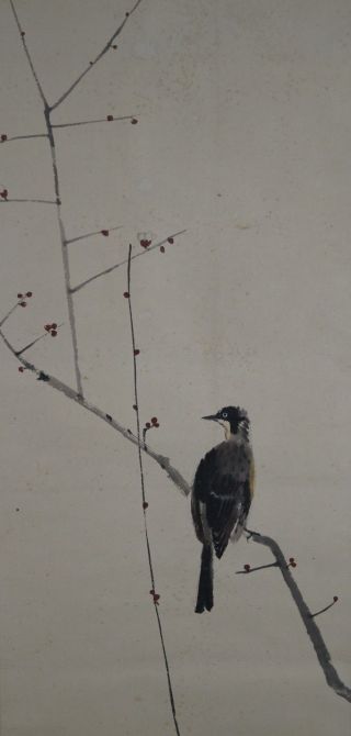 Antikes Japanisches Rollbild Kakejiku Vogel Am Baum Japan Scroll 3549 Bild