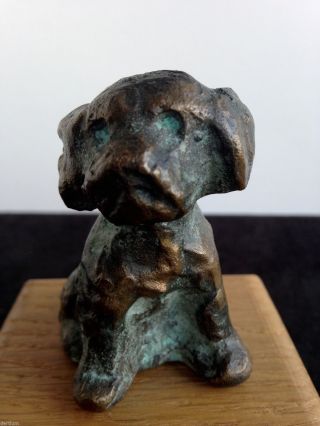 Friedrich Haufe 20.  Jhd.  - Bronze - Kleiner Hund Bild