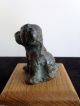 Friedrich Haufe 20.  Jhd.  - Bronze - Kleiner Hund Kunst Bild 4