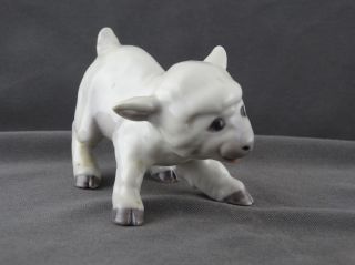 Bing & Groendahl Porzellan Figur Kleines Schaf Lamm Modell 2562 Bild