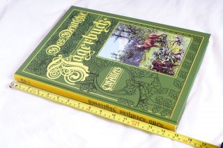 Buch : Das Deutsche Jägerbuch; 180 Seiten Bild